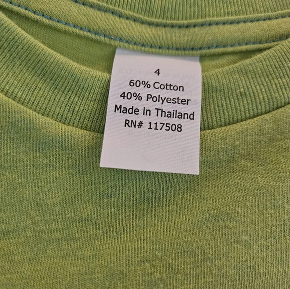 💥Boys Dinosaur Graphic T, Oversized (NWOT) Sz 4 (💥2/$12 Bundle) - Picture 4 of 4